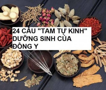 326-24-cau-tam-tu-kinh-duong-sinh-cua-dong-y