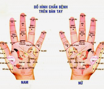 331-an-5-dau-ngon-tay-biet-ngay-suc-khoe-va-benh-tat-cua-cac-co-quan-noi-tang