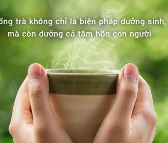 9 lợi ích uống trà mỗi ngày