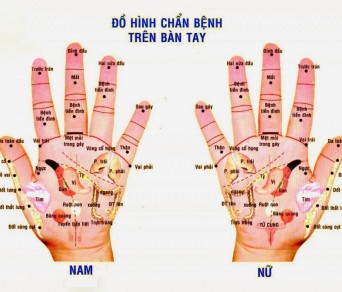Ấn 5 đầu ngón tay, biết ngay sức khỏe và bệnh tật của các cơ quan nội tạng