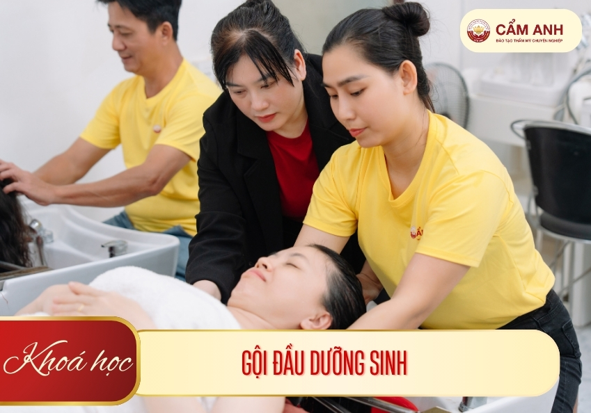 hoc-goi-dau-duong-sinh