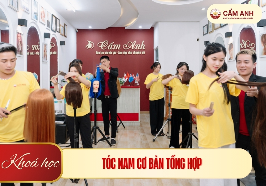 hoc-toc-nam-co-ban-tong-hop