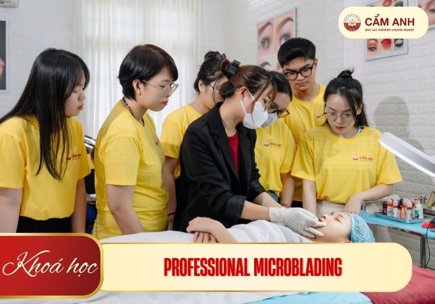 PROFESSIONAL-microblading
