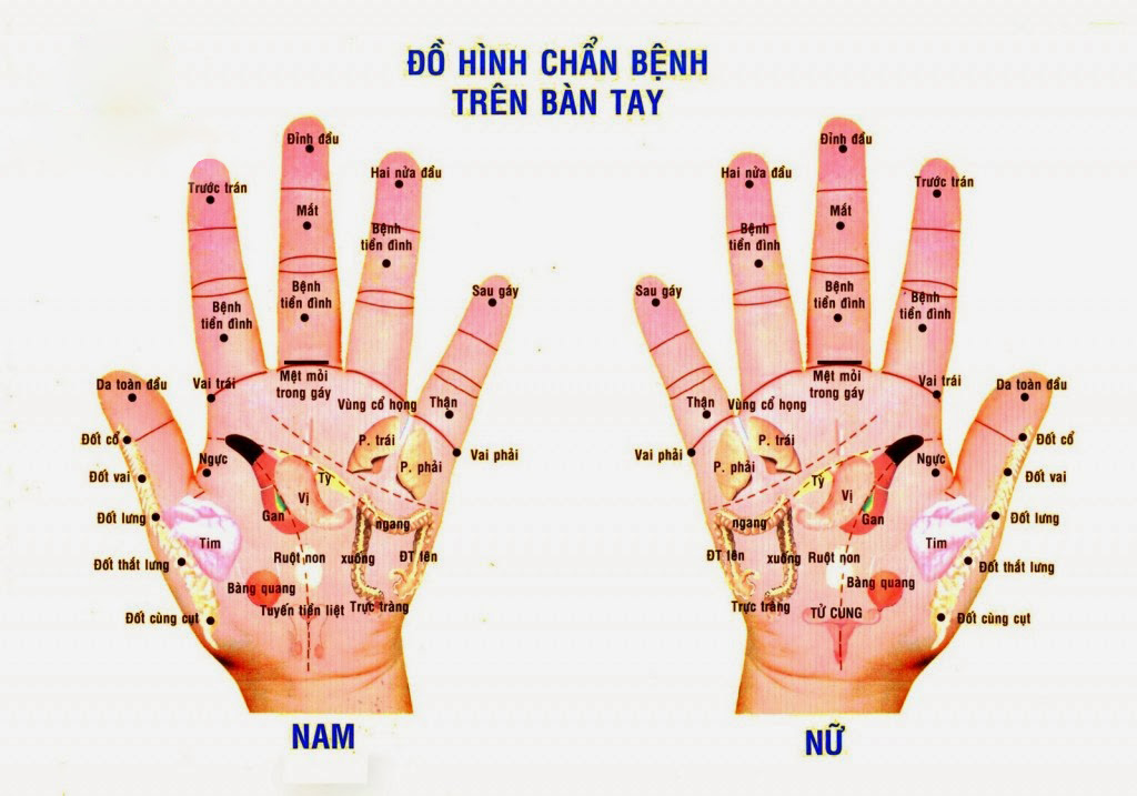 Bạn muốn biết cách xoa bóp và chăm sóc sức khỏe cho ngón tay của mình? Bức ảnh này sẽ giúp bạn tìm hiểu hơn về vị trí các điểm xoa bóp trên ngón tay. Ngay sau khi xem xong, bạn sẽ thấy rõ sự khác biệt trên ngón tay của mình.